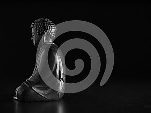 Sakyamuni Buddha sculpture